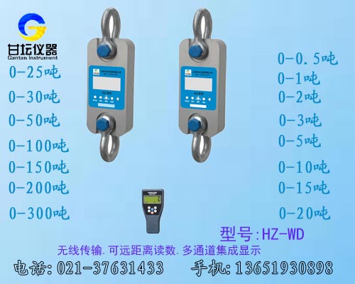 HZ-R系列直視測(cè)力計(jì),遙控測(cè)力計(jì)，